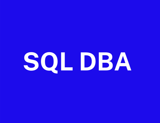 DBA 可以使用哪些 SQL 語句來實(shí)現(xiàn)用戶的自主訪問控制？