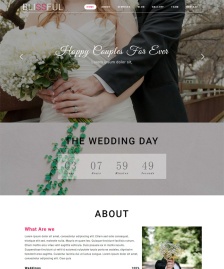 情侶結(jié)婚html5網(wǎng)頁模板