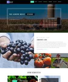 農(nóng)業(yè)種植技術(shù)單頁HTML5模板