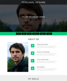 綠色個(gè)人簡歷HTML5模板