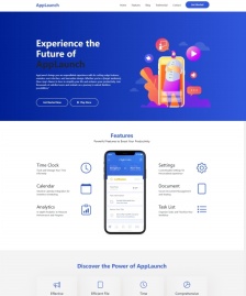 APP應用程序開發(fā)公司網站模板