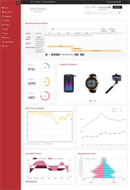 紅色風格后臺統(tǒng)計管理模板