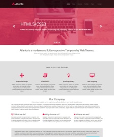 應(yīng)用程序開(kāi)發(fā)公司HTML5模板