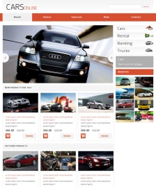 網(wǎng)上汽車車品網(wǎng)站模板