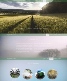 HTML5蔬菜農(nóng)場單頁模板下載