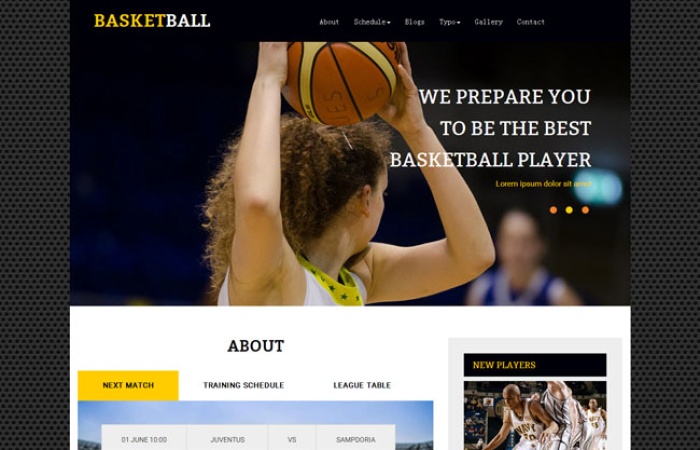 NBA籃球視頻網(wǎng)站模板下載-Toy模板網(wǎng)編號1725