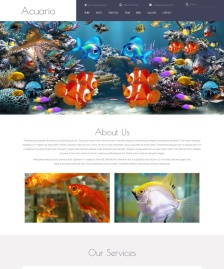 金魚(yú)魚(yú)類(lèi)養(yǎng)殖網(wǎng)站模板