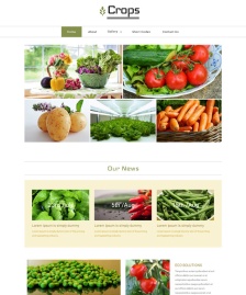 水果蔬菜html5清爽模板
