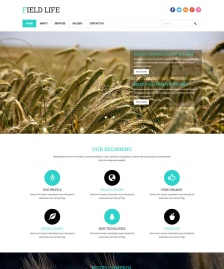 麥田收割種植HTML5模板