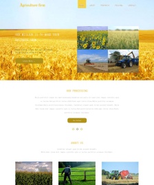 金色稻田HTML5農(nóng)業(yè)模板