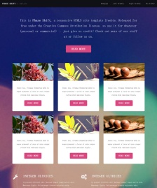 霓虹燈燈光HTML5炫彩模板