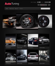 世界名車汽車網(wǎng)站模板