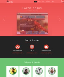 紅色風(fēng)格HTML5銷(xiāo)售模板