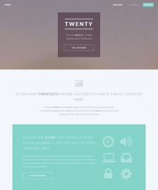html5單頁模版Twenty