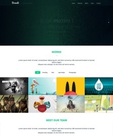 html5響應(yīng)式模版Brandi