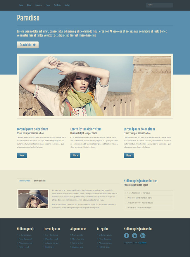 HTML5免費模版paradiso