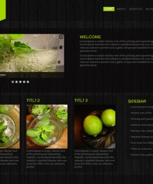 黑色木紋背景html5模板