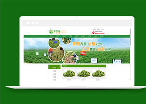 綠色農(nóng)產(chǎn)品種植類企業(yè)網(wǎng)站前端模板-前端模板
