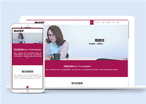 公司業(yè)務(wù)代辦網(wǎng)站多頁面HTML5模板-HTML5模板