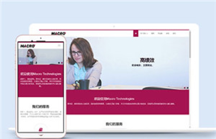 公司業(yè)務(wù)代辦網(wǎng)站多頁面HTML5模板-Toy模板網(wǎng)編號14692