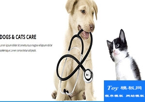 Veterinary藍(lán)色引導(dǎo)式寵物護(hù)理專業(yè)團(tuán)隊(duì)診所網(wǎng)站模板-HTML5模板