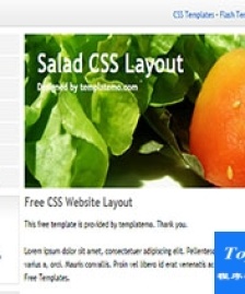 白色背景簡約salad單頁web網(wǎng)站模板