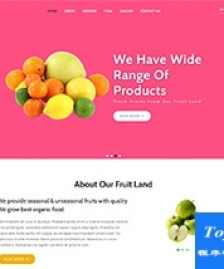純色漂亮水果種植批發(fā)企業(yè)網(wǎng)站模板