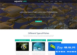 水族館釣魚愛好者網(wǎng)站模板-手機(jī)模板