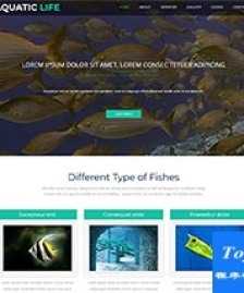 水族館釣魚愛好者網(wǎng)站模板