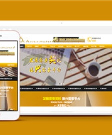 土豪金金融服務(wù)行業(yè)網(wǎng)站模板下載