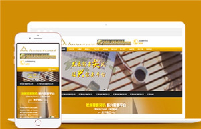 土豪金金融服務(wù)行業(yè)網(wǎng)站模板下載-Toy模板網(wǎng)編號(hào)14433