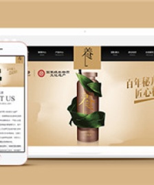 黑色大氣健康養(yǎng)生類企業(yè)網(wǎng)站模板下載