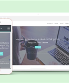 全屏簡潔淺綠色網(wǎng)站建設(shè)公司網(wǎng)站模板