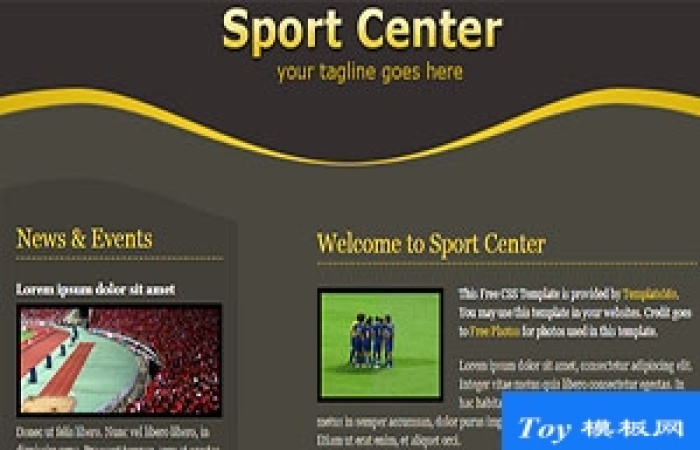 sport centre簡單干凈黃色與橄欖色布局網(wǎng)站模板-Toy模板網(wǎng)編號(hào)17569