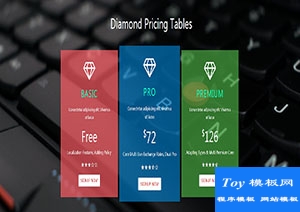 Diamond三色磚石價格表單頁響應(yīng)式網(wǎng)站模板-手機模板