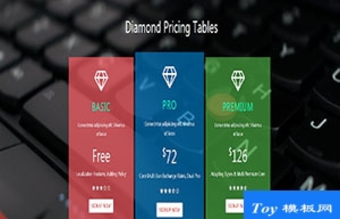 Diamond三色磚石價格表單頁響應(yīng)式網(wǎng)站模板-Toy模板網(wǎng)編號17689