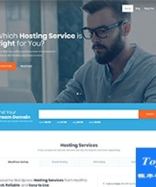 Host域名主機(jī)服務(wù)商商務(wù)企業(yè)網(wǎng)站模板