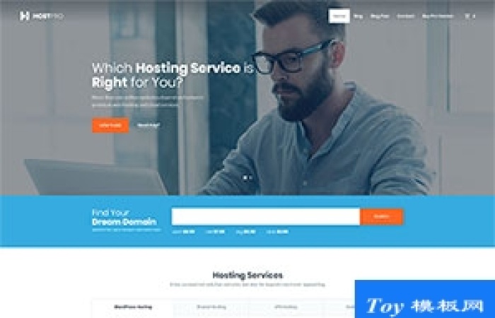Host域名主機(jī)服務(wù)商商務(wù)企業(yè)網(wǎng)站模板-Toy模板網(wǎng)編號(hào)18029