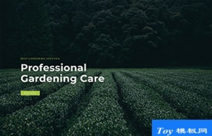 綠色有機食品農(nóng)業(yè)全屏漂亮網(wǎng)站模板-Toy模板網(wǎng)編號18149
