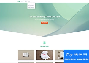 eshop電子商務(wù)軟件開發(fā)公司html5模板-HTML5模板