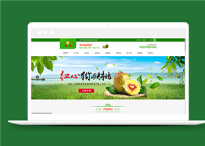綠色蔬菜鮮果配送類企業(yè)前端CMS模板下載-前端模板