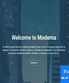 Moderna藍色ui全面布局投資組合現(xiàn)代花化網(wǎng)站模板-HTML5模板