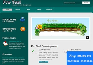 pro teal專業(yè)設計teal色全站點多頁網站模板-HTML5模板