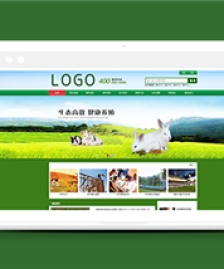綠色簡潔畜牧科技公司網(wǎng)站html模板