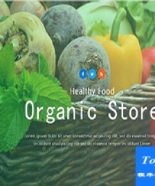 Oraganic Store響應(yīng)式綠色有機(jī)素菜商店網(wǎng)站模板
