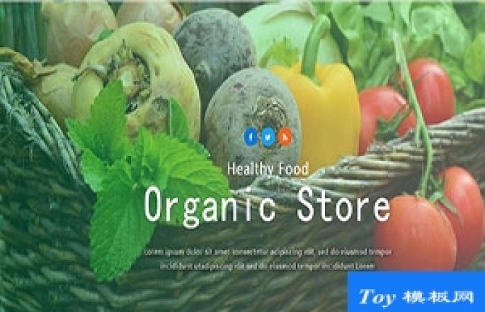Oraganic Store響應(yīng)式綠色有機(jī)素菜商店網(wǎng)站模板-Toy模板網(wǎng)編號(hào)17200
