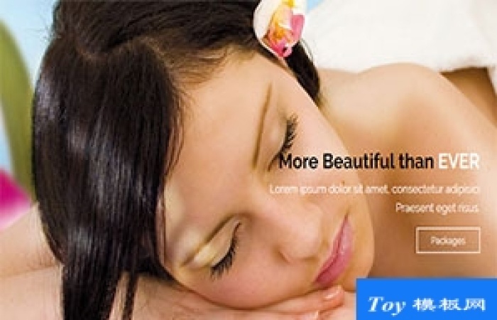 aroma時尚大膽現(xiàn)代多用途自定義響應(yīng)式網(wǎng)站模板-Toy模板網(wǎng)編號17280