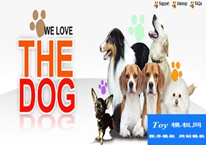 dog狗俱樂(lè)部照片庫(kù)單頁(yè)網(wǎng)站模板-CSS模板