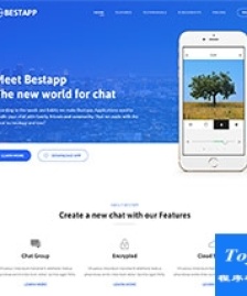 bestApp應用開發(fā)制作公司官網(wǎng)網(wǎng)頁模板