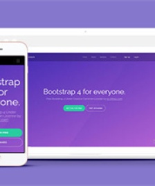 簡潔紫色精美Bootstrap4網(wǎng)站模板
